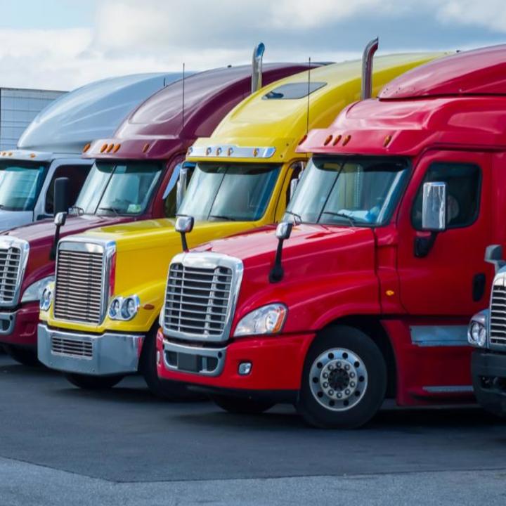 Department of Driver Services